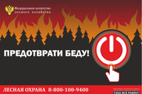 Особый противопожарный режим в лесах действует до 30 сентября 