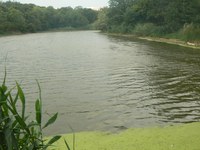 Минприроды проверяет качество воды в пруду Семхоз в Саратове