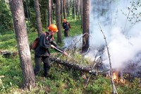 В Саратовской области ущерб от лесных пожаров уменьшился в 40 раз