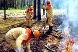 Утвержден план тушения лесных пожаров на территории области