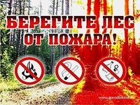 На землях лесного фонда Саратовской области начался пожароопасный сезон
