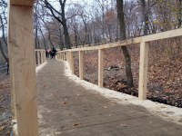 Впервые в Саратове в памятнике природы - парке «Солнечный» появилась деревянная экотропа
