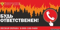 Пожароопасный сезон в лесах продолжается