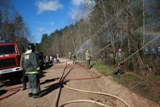 Специалисты лесного хозяйства региона приняли участие в  учениях по взаимодействию служб при тушении лесных пожаров, организованных в Самарской области