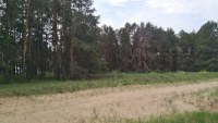 Саратовцам расскажут о новом статусе национального парка «Дьяковский лес»