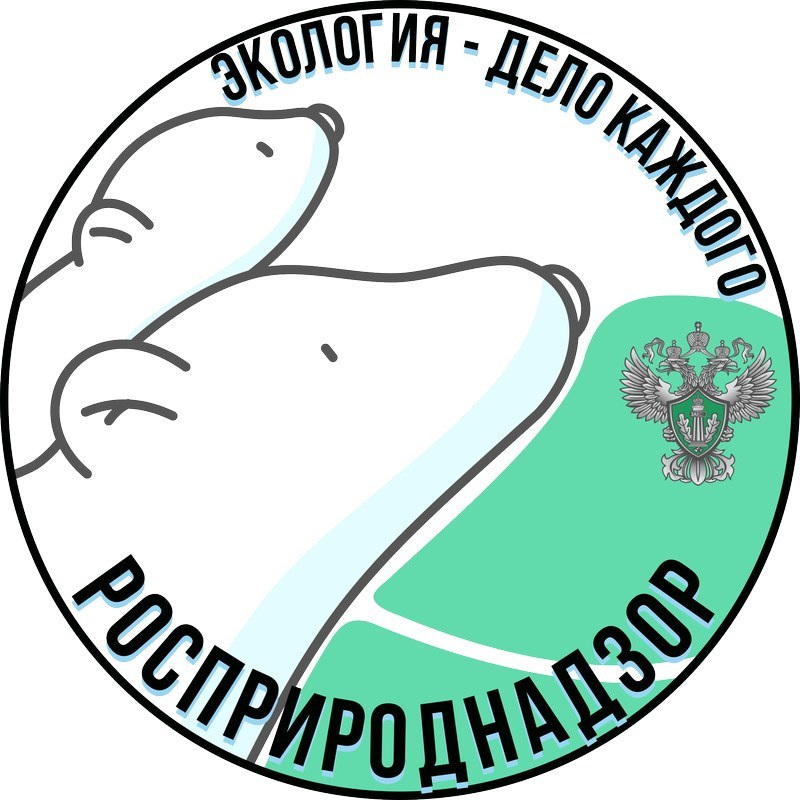 Саратовская область в лидерах конкурса «Экология – дело каждого»