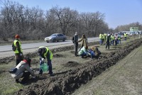 В Саратовской области стартовала всероссийская экологическая акция «Зеленая весна»