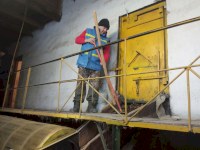 В Саратовской области собрали 27 тонн шишек для переработки на уникальной шишкосушилке