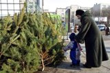В выходные дни жители областного центра приобрели 1970 новогодних елок по «социальной цене»