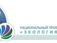 Более 200 млн рублей было направлено на реализацию нацпроекта «Экология» на территории региона в 2019 году