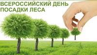 «Всероссийский день посадки леса» стартовал на территории Саратовской области