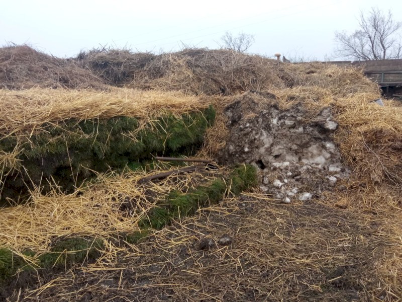 В Саратовской области сохранность сеянцев до посадки обеспечивает снежная база