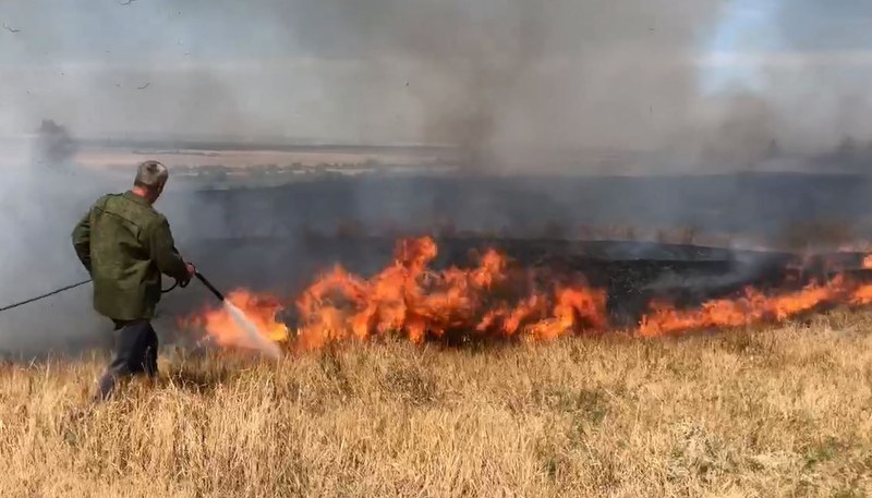 О борьбе с лесными пожарами в Саратовской области сняли документальный фильм