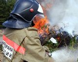Заместителем Председателя Правительства области С.И.Горбуновым подписан оперативный план тушения лесных пожаров в Лысогорском районе на 2011 год