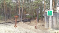 За захват участка леса саратовец заплатит 20 тысяч рублей