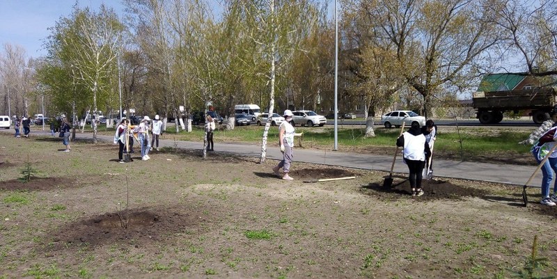 Саратовцев приглашают к участию в акции «Мемориальные деревья» 