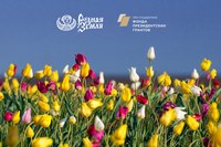 Стартовал всероссийский конкурс, посвященный тюльпану Шренка и региональной ООПТ