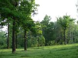 Итоги работы лесхозов и лесничеств области за I полугодие 2013 года обсудят на совещании