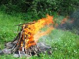 С начала пожароопасного сезона на территории области зарегистрировано 5 лесных пожаров