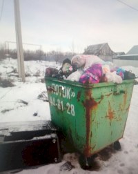 Жители Саратовской области решают проблемы вывоза мусора через систему ПОС