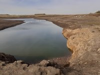 В Саратовской области продолжаются мероприятия направленные на охрану водных объектов, а именно расчистка от иловых отложений водохранилищ и русел рек 