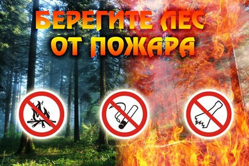 В Саратовской области в лесах региона отсутствовали пожары