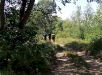 В Саратовской области лесные инспекторы оштрафовали граждан на 210 тысяч рублей