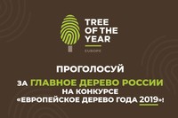 Голосуем за российский дуб – участника международного конкурса «Европейское дерево года – 2019»!