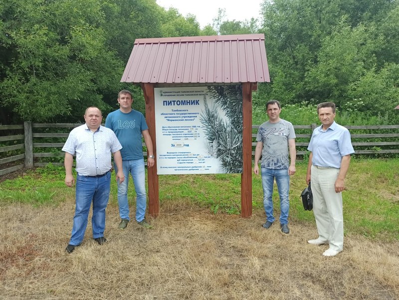 Лесоводы Минприроды Саратовской области обменялись опытом в Тамбове