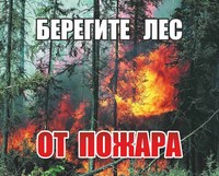 В Краснокутском районе произошел низовой лесной пожар