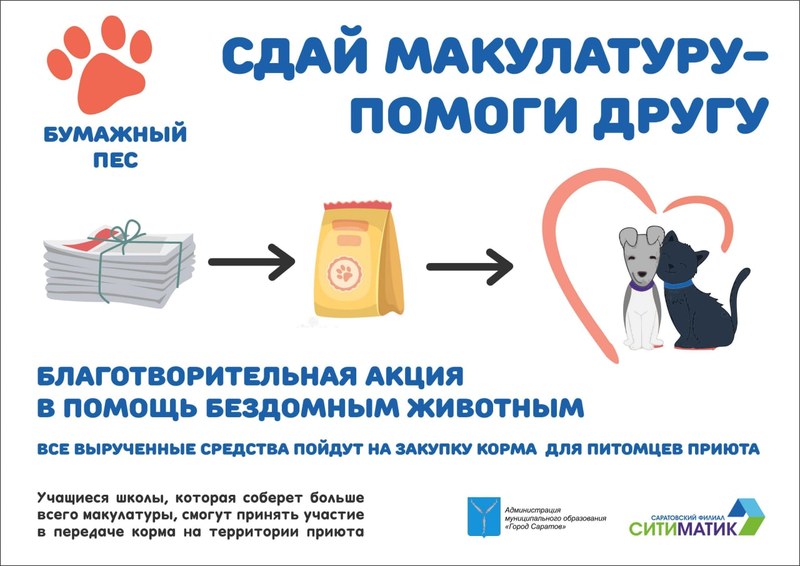 Саратовских школьников приглашают к участию в экологической акции «Бумажный пес»