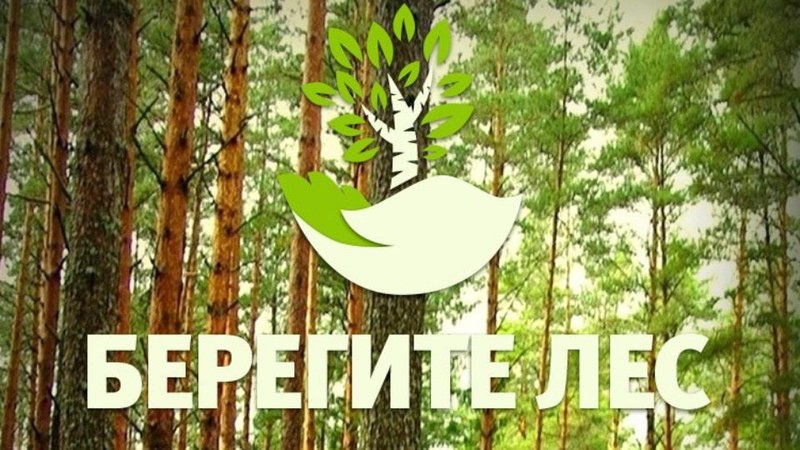 Минприроды продлевает ограничение на пребывание граждан в лесах Саратовской области