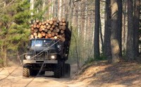 На территории области стартовала акция «Лесовоз»