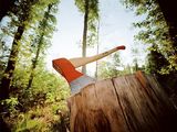 Министерство лесного хозяйства Саратовской области обращает внимание граждан на недопустимость самовольной вырубки деревьев