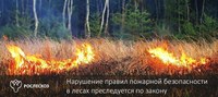 Возгорание на территории Красноармейского лесничества локализовано