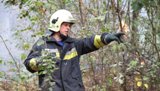 В области проведено обучение руководителей тушения лесных пожаров