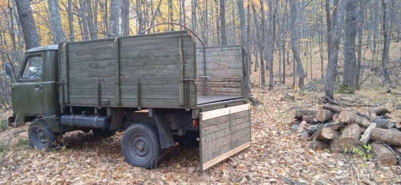 Лесные инспекторы и сотрудники природоохранной прокуратуры поймали «черных лесорубов» в Татищевском районе