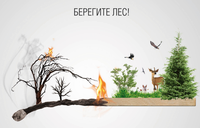 Увеличение пожарной опасности в лесах