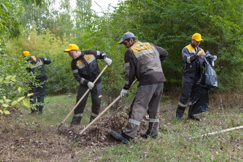 Минприроды и сотрудники Саратовского НПЗ навели порядок в парке Заводского района Саратова