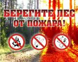 Министерство лесного хозяйства области призывает население соблюдать правила пожарной безопасности при посещении лесов