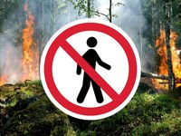 На территории области введен режим ограничения пребывания граждан в лесах