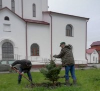 В Саратовской области в рамках «Единого дня посадки леса» высадят 300 деревьев 
