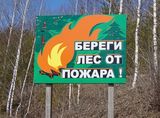 На заседании Правительства области будет рассмотрен план мероприятий по профилактике и борьбе с лесными пожарами