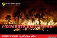 В лесах Саратовской области продолжается пожароопасный сезон