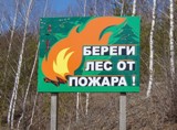Министерство лесного хозяйства области призывает население соблюдать правила пожарной безопасности при посещении лесов в праздничные дни