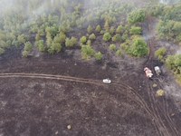 В Саратовской области достаточно сил и средств для тушения лесных пожаров