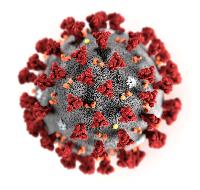 Рекомендации по профилактике новой коронавирусной инфекции (COVID-19) среди работников