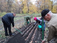 Акция «Живи, лес!» в Саратовской области продолжается