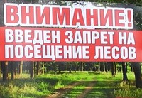 В Саратовской области вводится ограничение на пребывание граждан в лесах