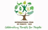 2011 год объявлен  Международным годом лесов